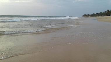 Guruwaththa Eco Lodge