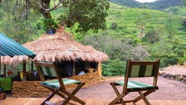 Wild Glamping Knuckles