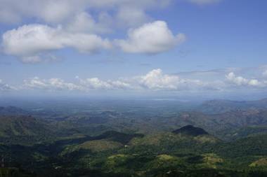 Kelburne Mountain View Cottages