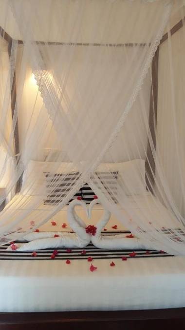 Pedlar 62 Guest House