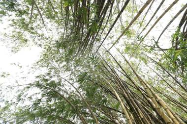 Nooit Gedacht Heritage Hotel (Original Dutch Governors House)