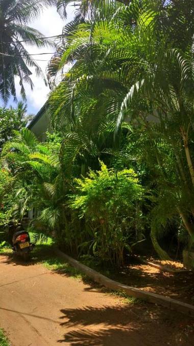 Unawatuna Apartments