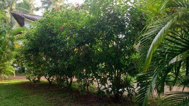 Unawatuna Apartments