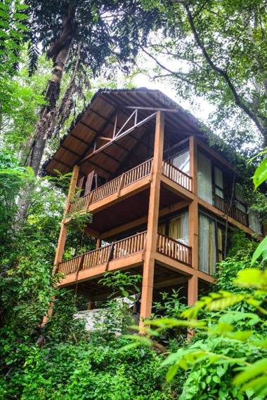 Jungle Village by Thawthisa