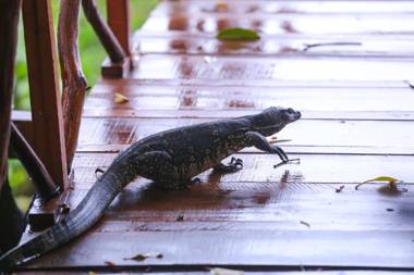 Nature Cabanas & Floating Restaurant