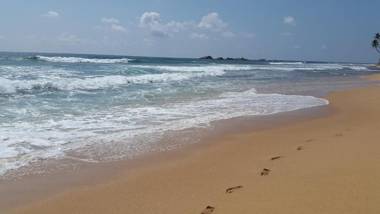 Hikkaduwa backyard beach homestay