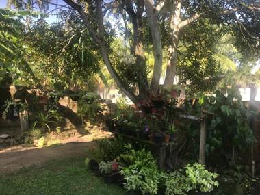 The Dalawella Porch House