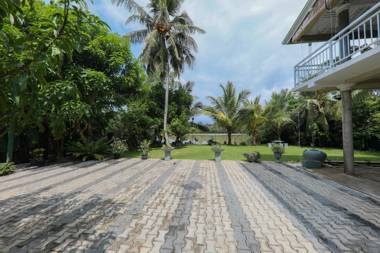 Morning guest can see momkeyies and birds