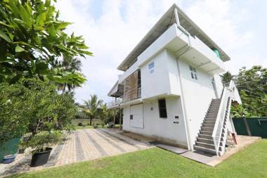 Morning guest can see momkeyies and birds