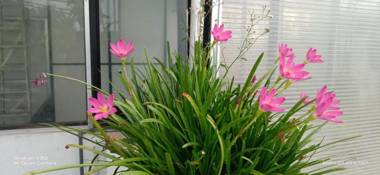 Sasiri lanka holiday inn