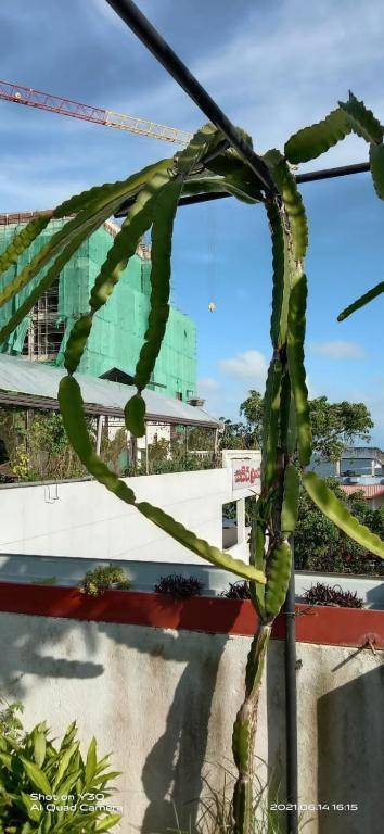 Sasiri lanka holiday inn