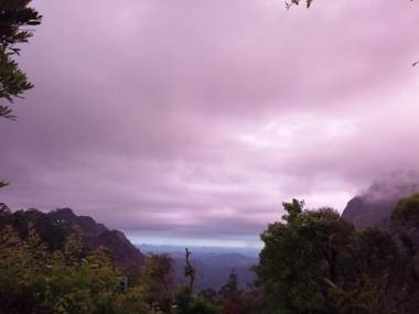 Tea Garden Holiday Inn