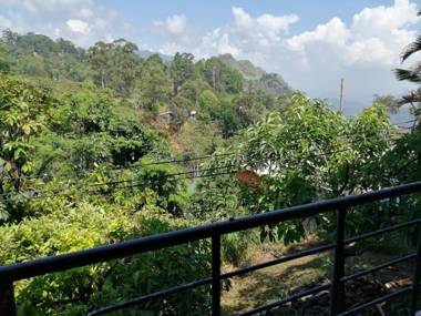 Tea Garden Holiday Inn