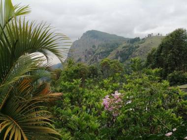 Tea Garden Holiday Inn