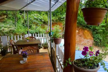 Rustle Hill Home Stay-Ella