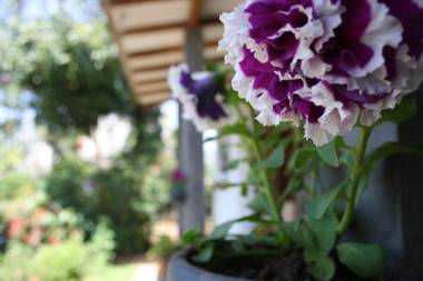 Moonlight Holiday Home Ella