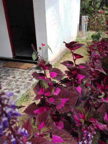 NEW CINNAMON GARDEN HOMESTAY