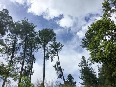 Aroma Heaven Homestay