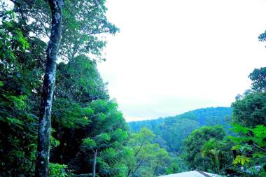 Secret Nest Homestay