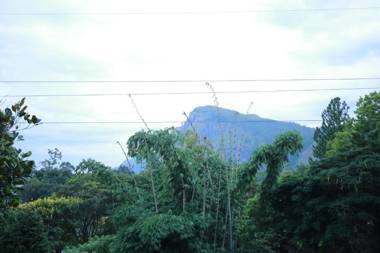 Little paradise Homestay