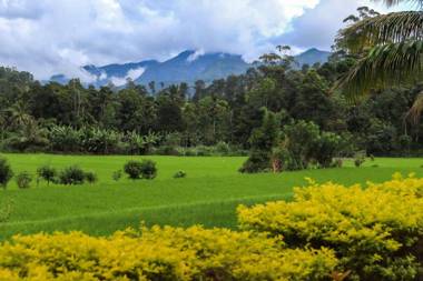 Nature valley homestay