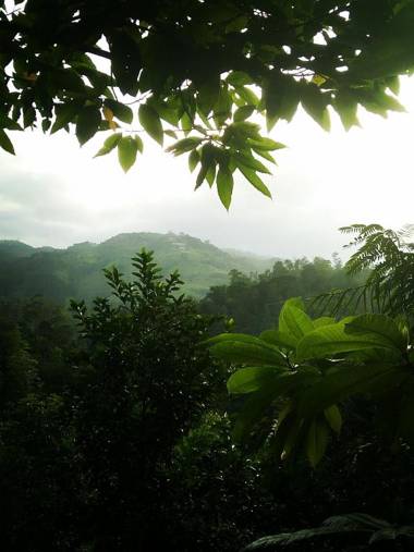 cool View Mohomad homestay