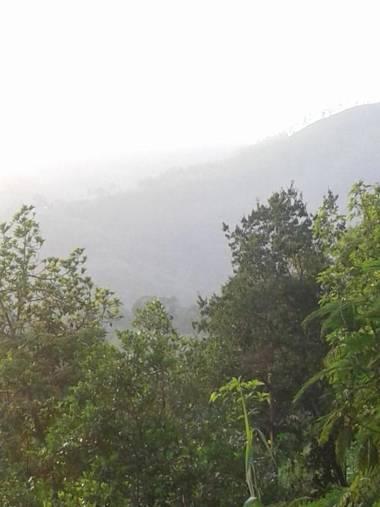 cool View Mohomad homestay