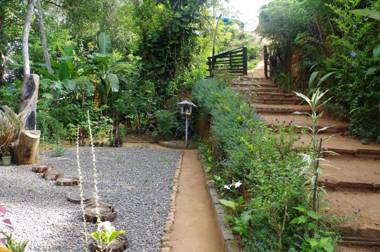 Ella Secret Paradise