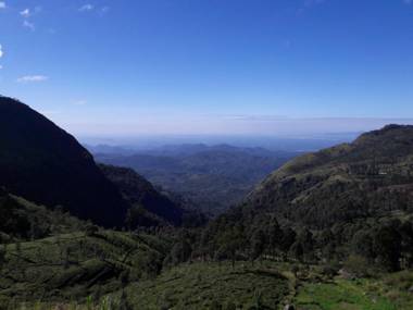 Ella Banana Rest Inn