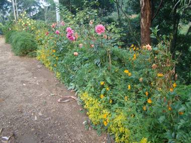 Nature's Glow Home Stay