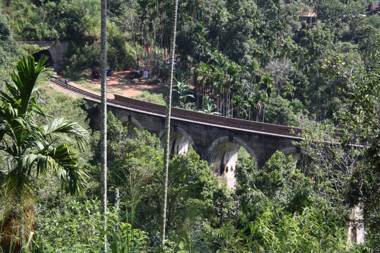 Nine Arch Jungle Inn