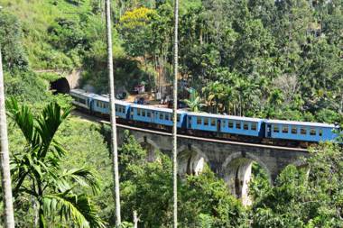 Nine Arch Jungle Inn