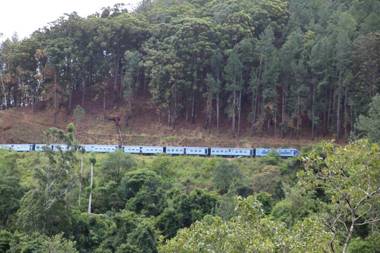 Green Lushy Home Stay