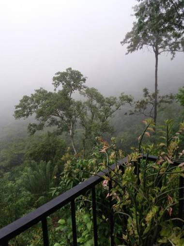 Green Lushy Home Stay