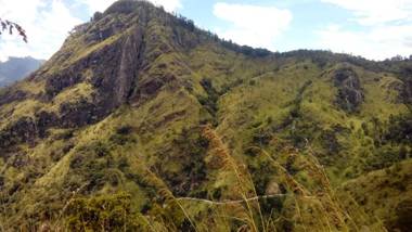 Mountain Range Cottage