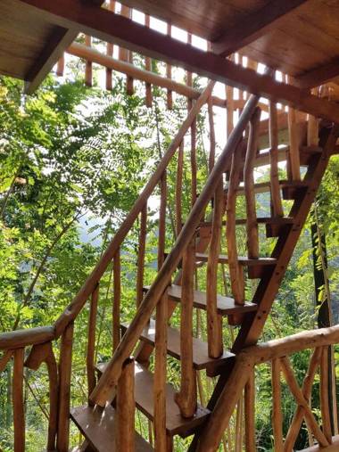 Arana Sri Lanka Eco Lodge and Yoga Center