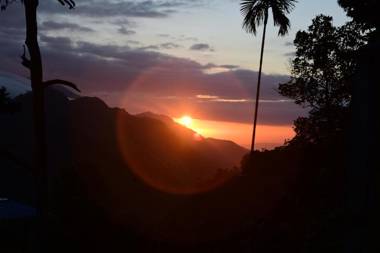 Mango Shadow Inn Ella