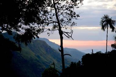 Mango Shadow Inn Ella