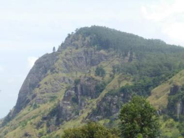 ELLA-Green View Holiday Inn