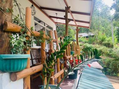 Ella Forest Eco View