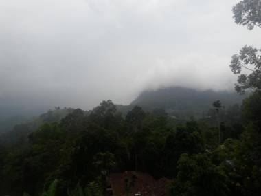 THE " ONEX PARADISE " ELLA