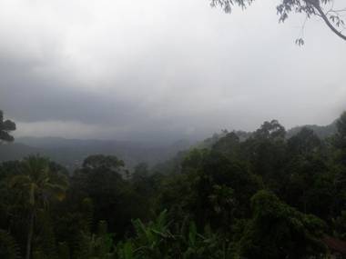 THE " ONEX PARADISE " ELLA