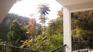 Misty Elegance - Ella.