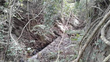 Nine Arch Heritage Ella