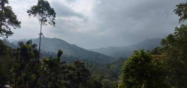Hidden Slope Cottage