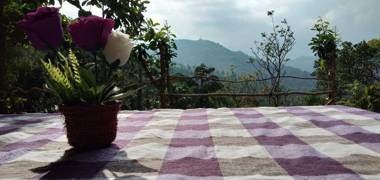 Hidden Slope Cottage