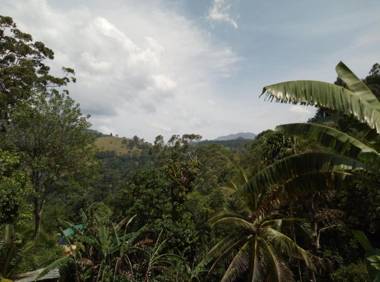 Kavishka Guest house