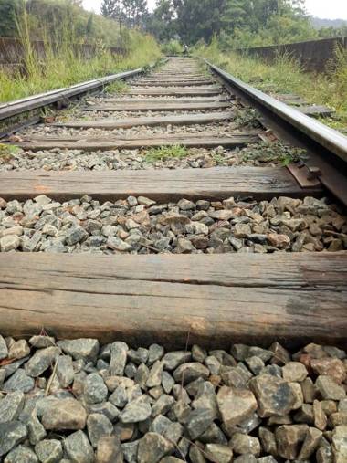 3Arch Eco Cottage Ella