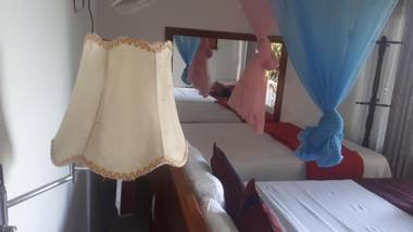 New Farmers Paradise