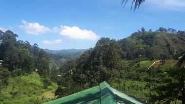 New Farmers Paradise